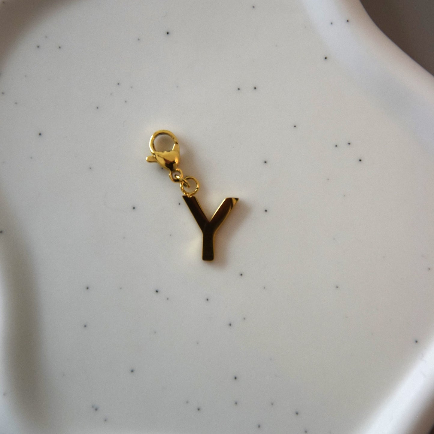 Charm lettre Y