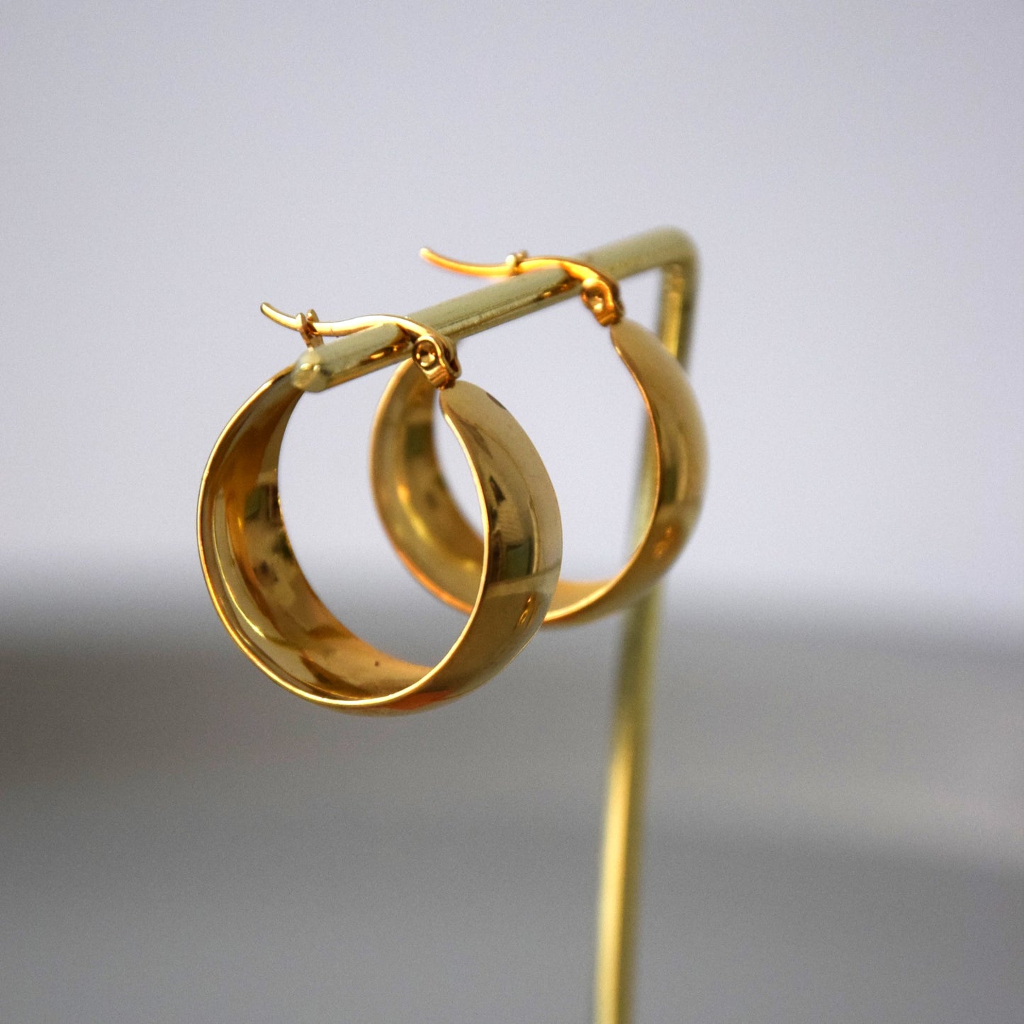 Boucle d'oreille anneau